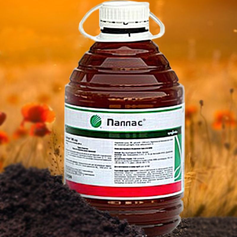 Паллас, КС 5 л гербицид