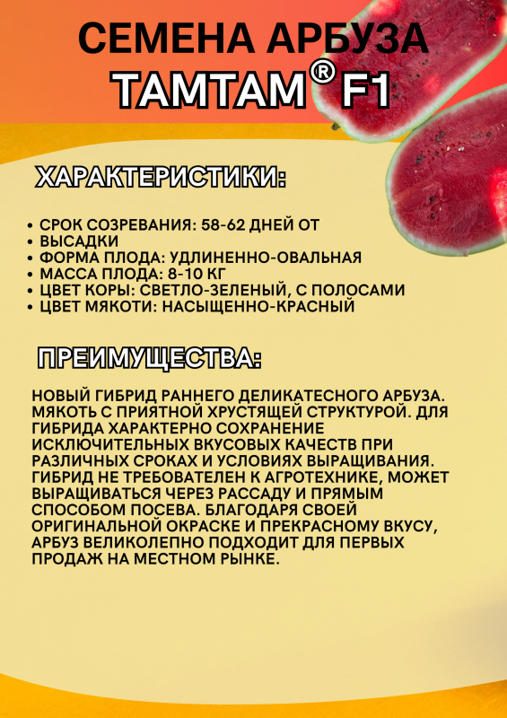 ТАМТАМ F1 семена арбуза