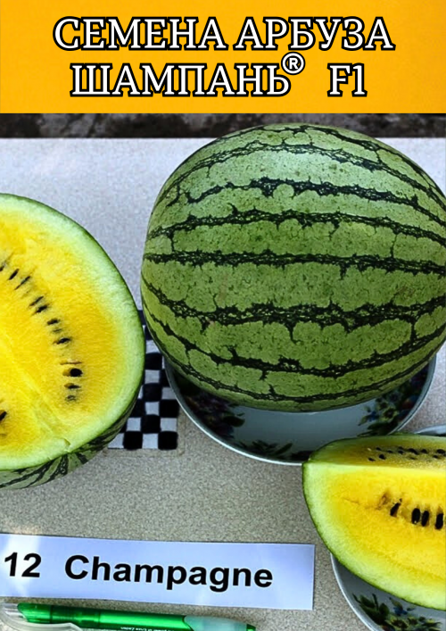 Шампань F1 семена арбуза