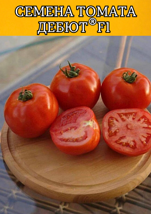 Дебют F1 семена томата