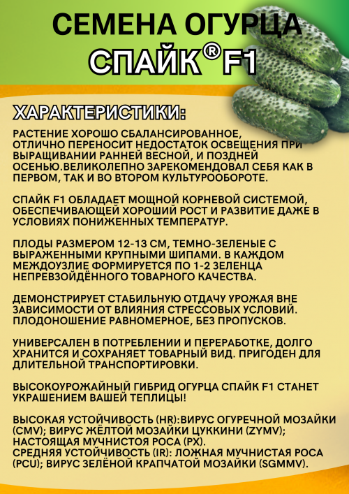 Спайк F1 семена огурца корнишона раннего