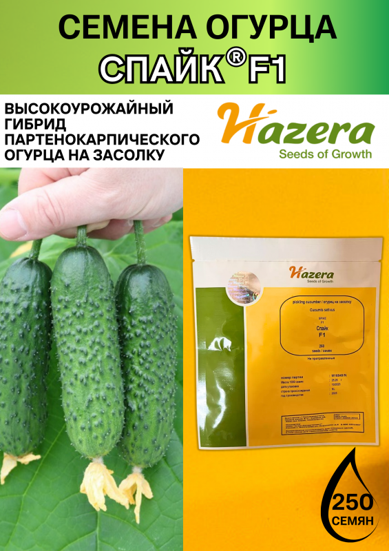 Спайк F1 семена огурца корнишона раннего
