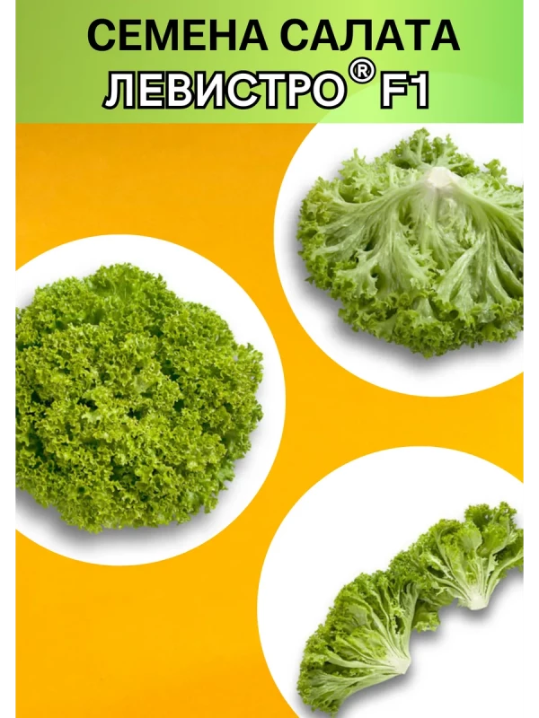 Левистро (драже) семена салата