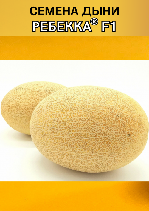 Ребекка F1 семена дыни