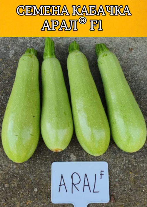 Арал F1 семена кабачка