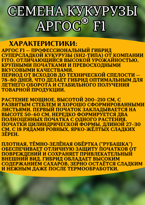 Аргос F1 2500 штук семена сахарной кукурузы