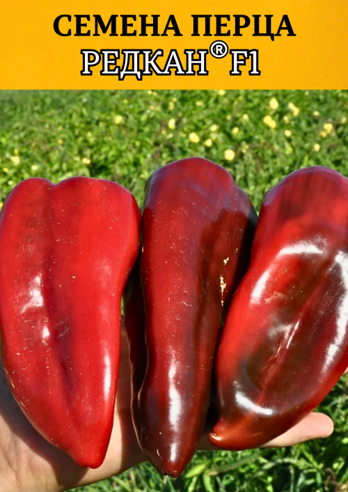 Редкан F1 семена сладкого перца