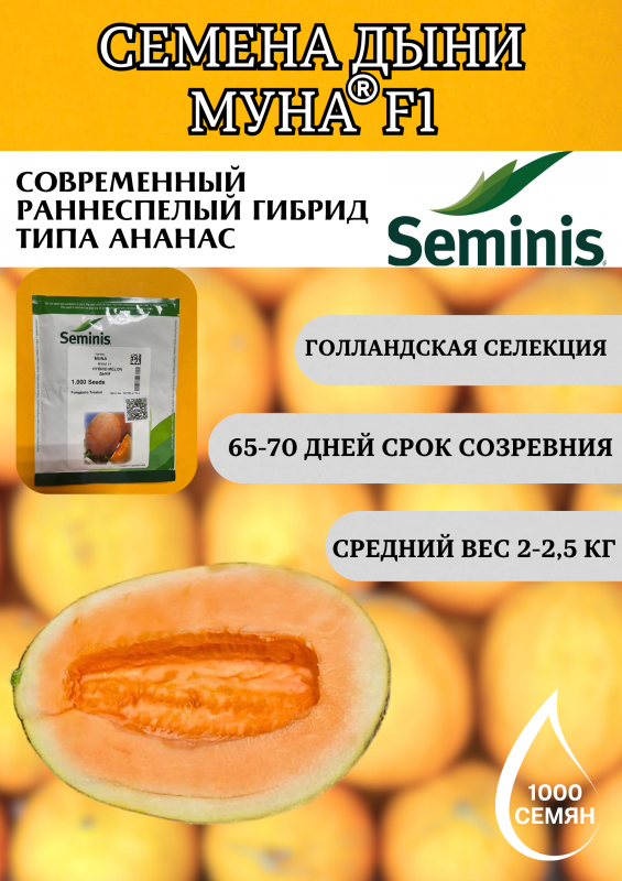 Муна F1 1000 штук семена дыни типа Ананас