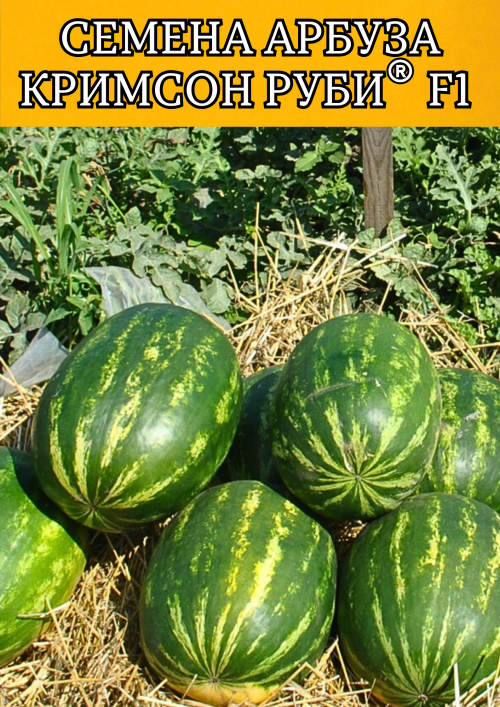 Кримсон Руби F1 семена арбуза