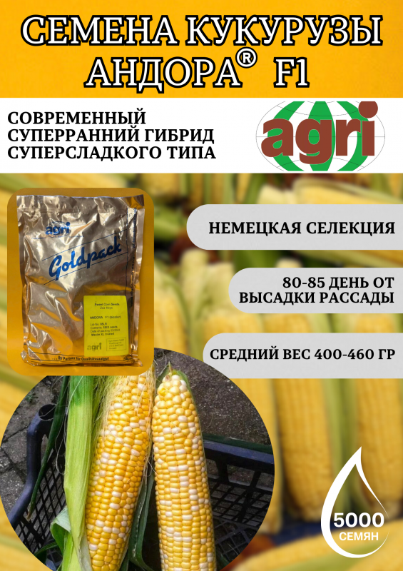 Андора F1 5000 семян семена кукурузы-биколор