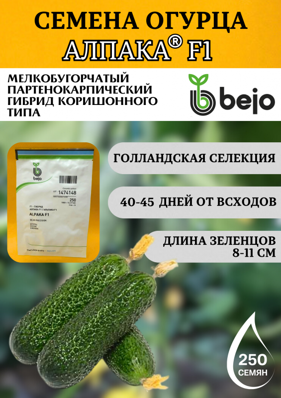 Алпака (Альпака) F1 семена огурца