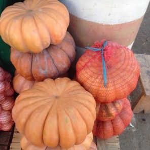 Мускат де Прованс (Мускатная прованская) 500 грамм семена тыквы