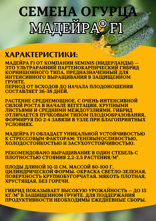 Мадейра F1 (СВ 0196 ЦВ) семена огурца