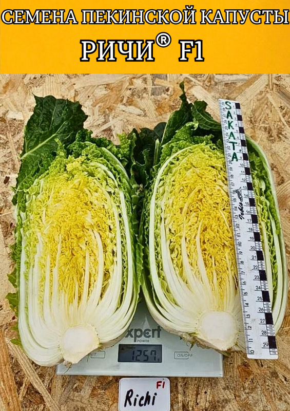 Ричи F1 1000 штук семена пекинской капусты