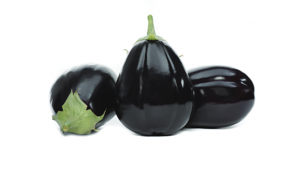 Раунд F1 семена баклажана 500 штук