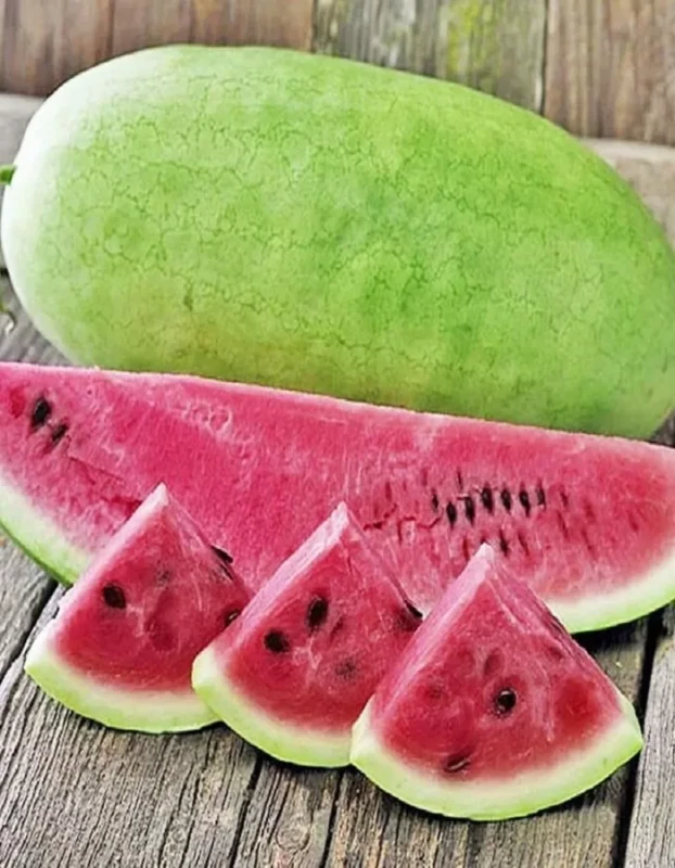 Чарльстон Грей F1 семена арбуза 500 штук