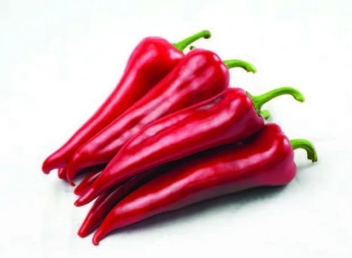 Самандер F1 семена перца сладкого