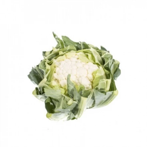 Социус F1 семена цветной капусты