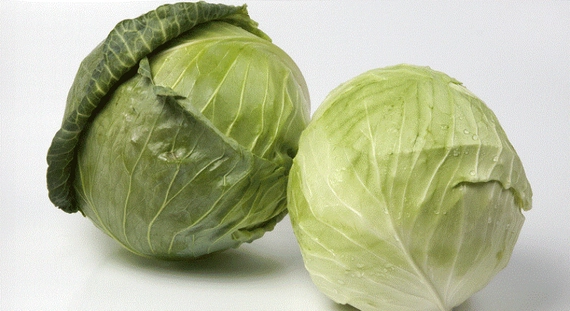 СВ 3336 ЖБ F1 семена белокочанной капусты 2500 штук