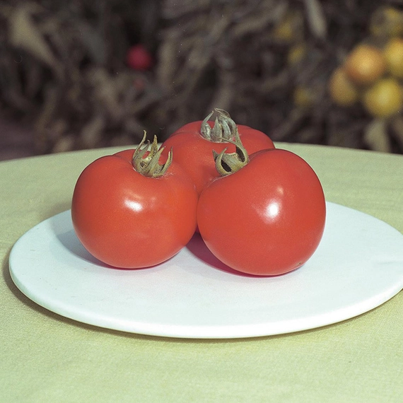 Полфаст F1 семена томата 1000 штук