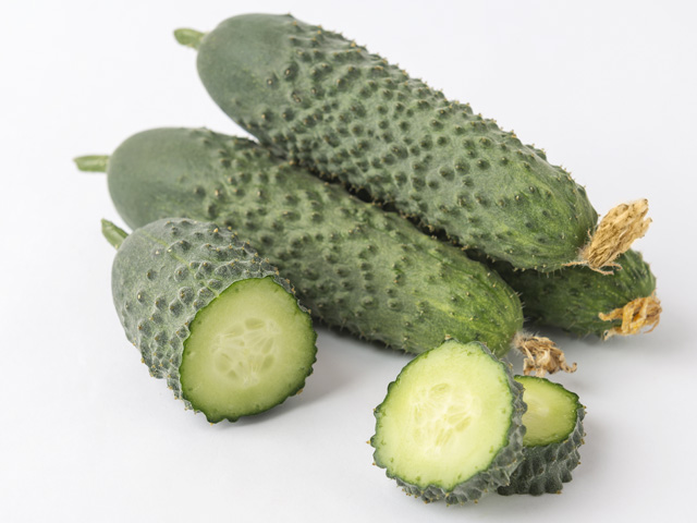 Ронелл F1 огурец 500 семян