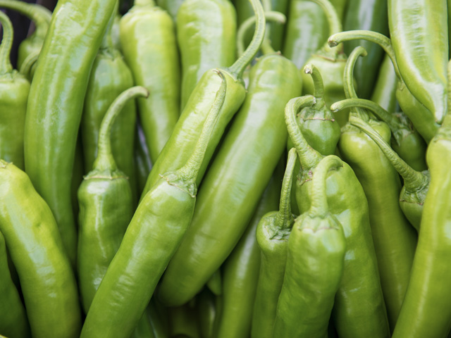 Хайфи F1 перец острый 250 семян