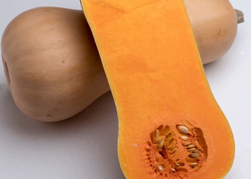 Элиана F1 тыква 500 семян