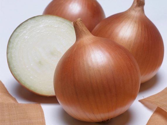 Бенефит F1 лук репчатый 250 000 семян