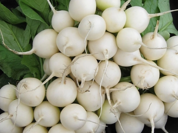 Пёрл F1 редис 250 грамм