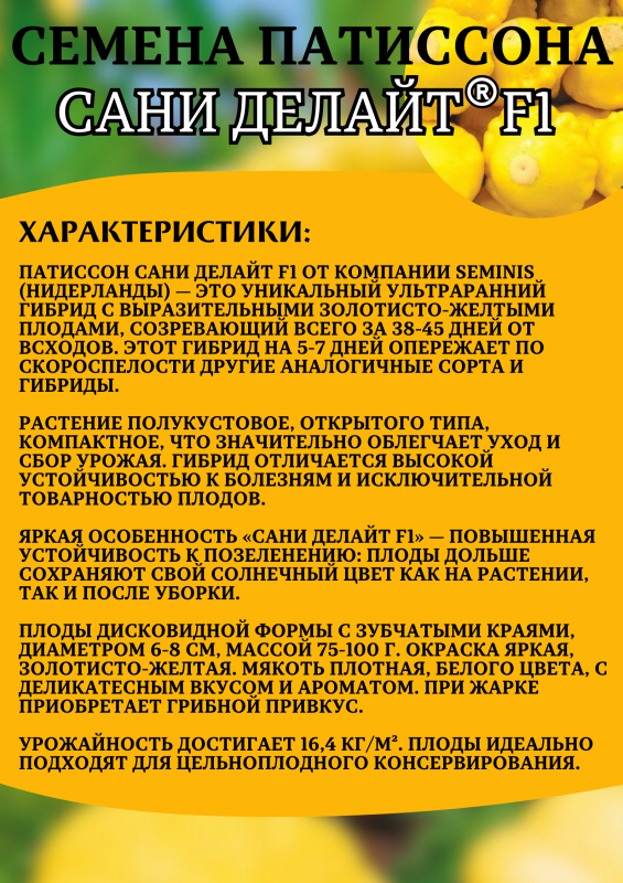 Сани Делайт F1 семена патиссона