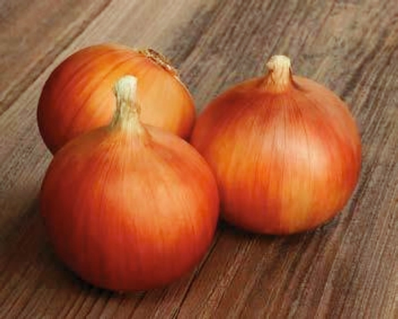 Аруба F1 лук 250 000 семян