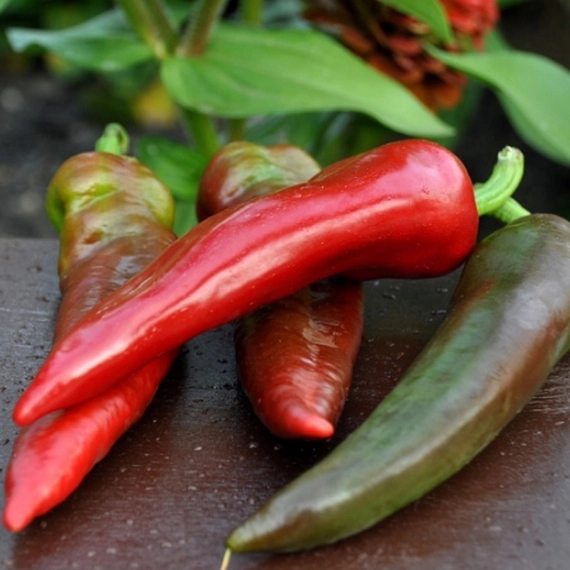 Блэйд F1 перец острый 500 семян