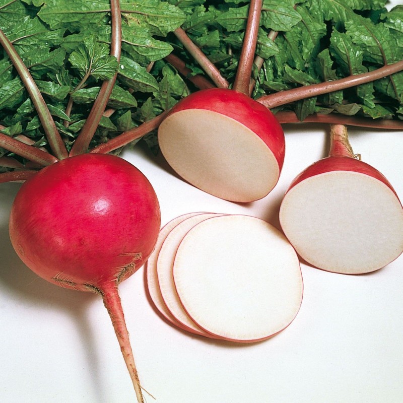 Мисато Ред дайкон 10 000 семян