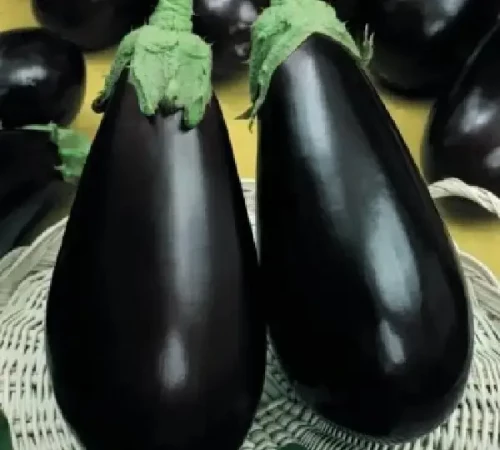 Вернал F1 баклажан 1000 семян